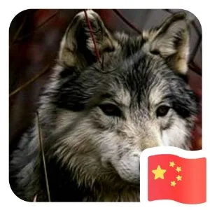 哑驴