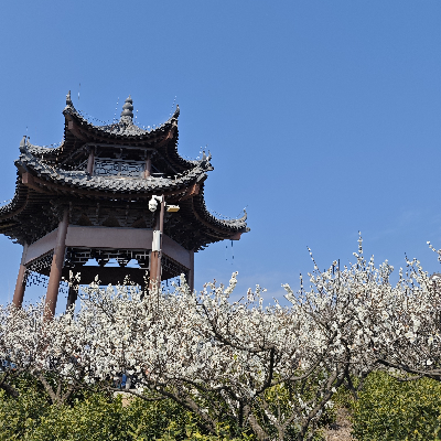 avatar of wenjing0085