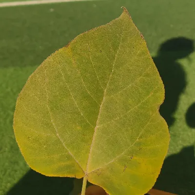 用户25149