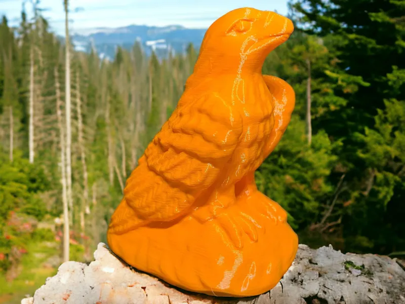 Eagle no support