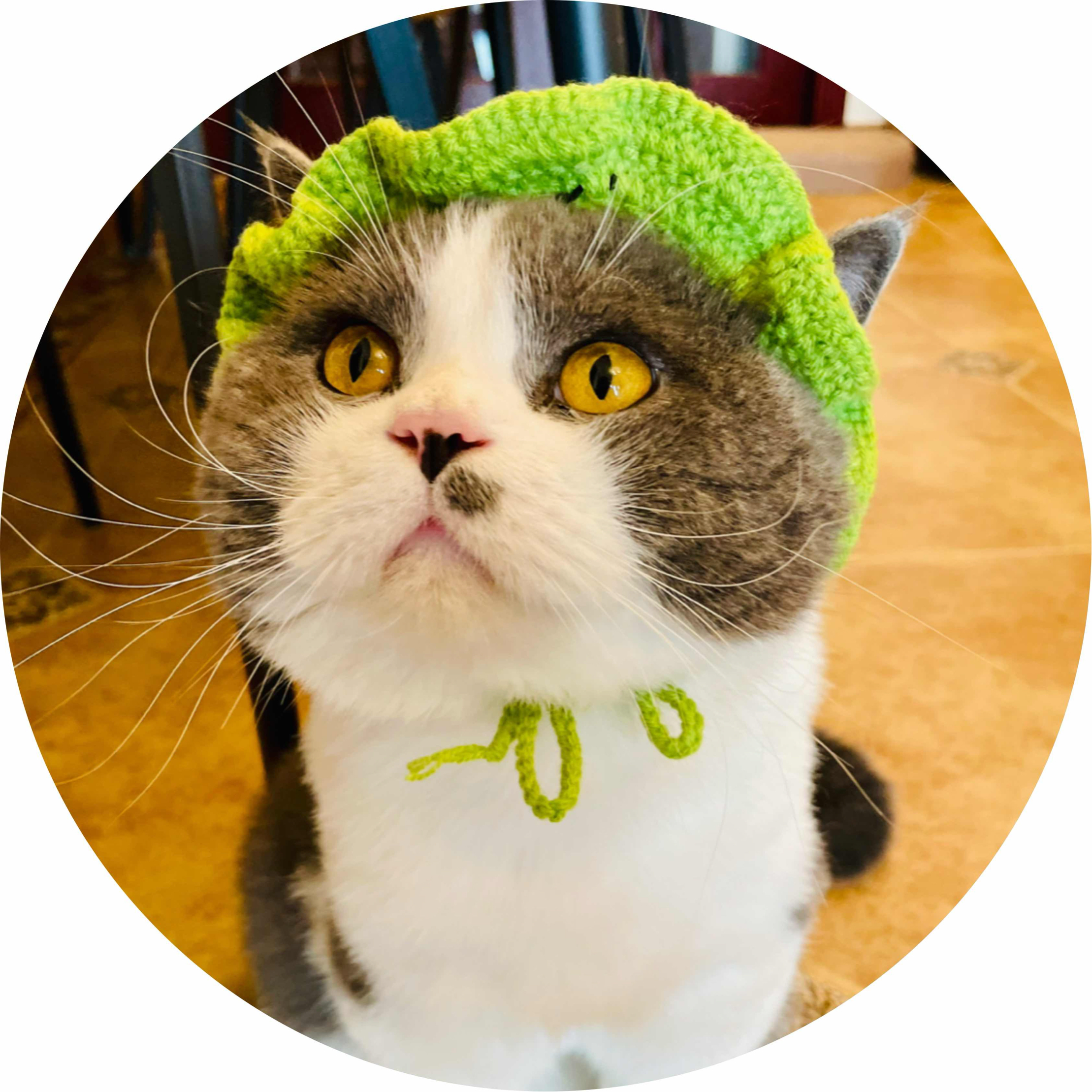 avatar of 用户1033845474