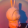 avatar of 1578