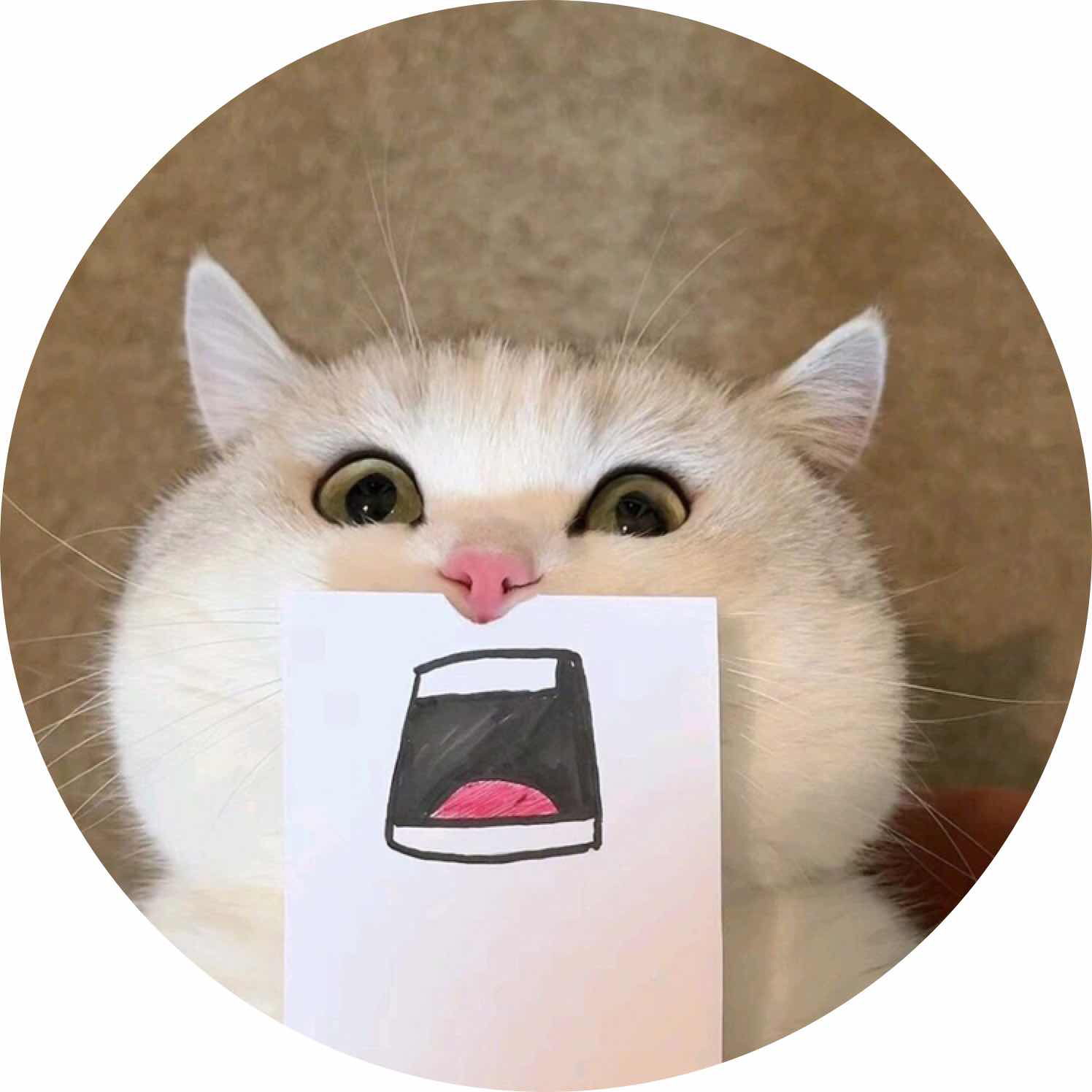 avatar of 纯新的新手