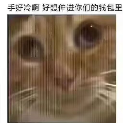 avatar of 初中牲