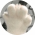 avatar of 稀糊飘喵