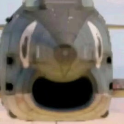 avatar of 一只“十字军”