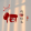 avatar of 小小浩
