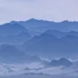 哈尔