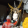 avatar of 天使猫