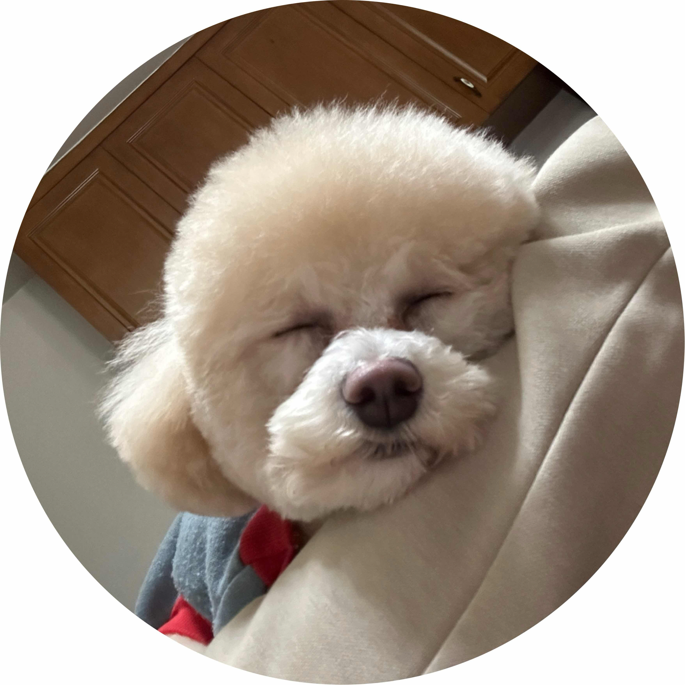 avatar of 用户6619542579