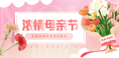 《母亲节》模型专题