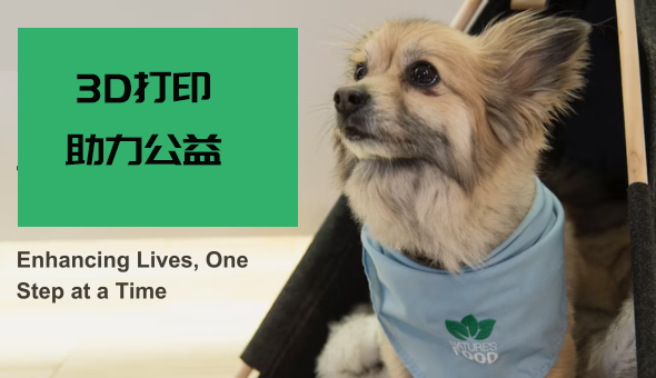 Blog title: 3D 打印宠物假肢：一步一步改善它们的生活